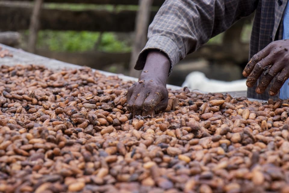 Kamini chocolate products